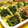 ぽこぽこモコ's cooksnap of when they made お弁当に☆定番・ほうれん草のごま和え.