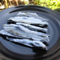 ジョングレ's cooksnap of when they made ココナッツオイル☆煮干おやつ.