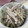 しましま好き's cooksnap of when they made 蓮根ごぼう☆ごまマヨ和え.