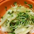 サトモユリア's cooksnap of when they made 節約＊箸が止まらない♡ 大根サラダ.