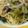 CoffeeCoco's cooksnap of when they made チシャ菜と豚バラの辛いパスタ.