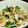 はなふあ's cooksnap of when they made 超簡単：もやしと小松菜のお浸し.