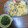 はなまる☆ママ's cooksnap of when they made もやしとたまごのトロトロあんかけ.
