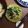aaaaaaaai's cooksnap of when they made 小松菜ともやし＠塩昆布でナムル風.