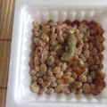 ツンドラ's cooksnap of when they made 納豆に柚子こしょう♫.
