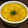みいたむ♡'s cooksnap of when they made ミキサーいらず！りんごとかぼちゃのスープ.