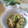 ぴよ丸's cooksnap of when they made もやしとザーサイの和えたん.