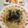 クックtomo107's cooksnap of when they made 簡単パスタ。大根下ろし納豆パスタ☆.
