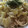 H♡S's cooksnap of when they made ☆キャベツときのこの和風パスタ☆.