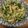 さぁぎにゃん's cooksnap of when they made 下ゆでなし「お手軽若ごぼう炒め煮」.
