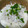 Tyndall's cooksnap of when they made 簡単！あと一品＊とろとろ～長芋じゃこ.