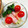 えつおくん's cooksnap of when they made かいわれ大根とハムのｻﾗﾀﾞ.