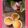 ルナ☆しゅうグリーン's cooksnap of when they made お店の味♡ふんわりプレーンマフィン.
