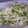 せっちょって。's cooksnap of when they made 簡単☆豆苗ともやしのナムル.