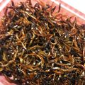 ハウちゃん's cooksnap of when they made 母から教わった★いかなごの釘煮★.