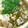 ゴロtaroo's cooksnap of when they made 母直伝☆豚肉とほうれん草の常夜鍋.