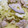 Rick_t's cooksnap of when they made 簡単☆れんこんとキャベツの和風パスタ♪.
