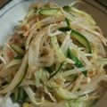 マカヒキ's cooksnap of when they made 夏にピッタリ☆鶏ともやしのナムル風.