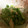 クックDAPWAN☆'s cooksnap of when they made からし菜と魚肉ソーセージの味噌マヨ和え.