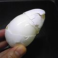 おいら73's cooksnap of when they made 半熟タマゴがつるんと剝けちゃう！.