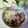 kurukurumin's cooksnap of when they made (塩)昆布が大活躍✿炊き込みご飯・おこわ.