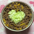 ★ほのどんママ★'s cooksnap of when they made うちの夕飯　簡単*いろどりそぼろ丼*.