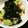 ルぴあ's cooksnap of when they made シャキシャキ野菜とアボガドの和サラダ.