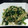 ズボラさっちん's cooksnap of when they made ほうれん草とエノキの簡単おひたし.