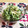 バタまるこちゃん's cooksnap of when they made 簡単☆水菜のしゃきとろ生白和え.