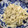 ひかりを's cooksnap of when they made 簡単すぎてゴメン！長芋の磯辺焼き.