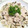 KUMI KUMI's cooksnap of when they made 豚肉ときのこのとろとろ蒸し.