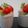 こなや・・'s cooksnap of when they made 簡単で絶品♪ガトーショコラカシスムース.