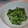 ゆっきー食堂's cooksnap of when they made 菜の花のからしマヨ胡麻和え.