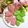 ❀あおい❀'s cooksnap of when they made 和菓子/練りきり（桜）.