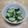 caprice35's cooksnap of when they made ❀きゅうりの塩麹漬け.