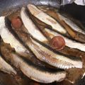 クック302VKP☆'s cooksnap of when they made 少ない材料で簡単に☆いわしの梅煮☆.