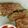 オンミー's cooksnap of when they made ピーマンの肉詰め.