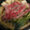 viviouji's cooksnap of when they made 我が家の♡絶品すき焼き.