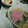 2児ママみきてぃ's cooksnap of when they made 卵で仕上げる☆ハムとキクラゲのスープ.
