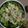 クックLPQLLY☆'s cooksnap of when they made エビとアボカドのサラダ.