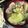 クックZFZCA0☆'s cooksnap of when they made アサリと春キャベツのスープ.