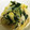 hiyokkoro's cooksnap of when they made 簡単！　白菜と　ニラ　きのこの和風煮♫.