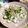 ＴＯＭＯＷＡＴ's cooksnap of when they made しめ鯖☆わさびポン酢と薬味で食べてみて♪.