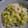 lunatomo's cooksnap of when they made 海老とアボガドのマヨゆず胡椒サラダ.