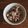 tsubom1002's cooksnap of when they made ル・クルーゼでお赤飯.