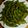 もりのりころ's cooksnap of when they made 枝豆を美味しく茹でよう(^o^)v.