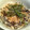 through111's cooksnap of when they made 生のりとしらすの丼.