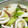 ほ。りりん's cooksnap of when they made 簡単☆冷凍いかと長ネギの中華.