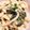 モブ人間's cooksnap of when they made 黄身明太釜揚げうどん.