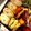 あじゅトン♪'s cooksnap of when they made 釜揚げ桜えび・しらす・枝豆・生姜のご飯.
